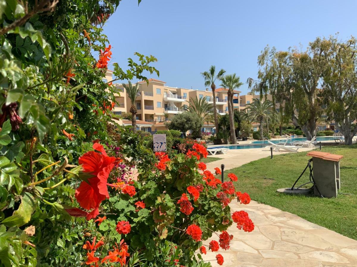 Paphos Kings Palace Indigo 109 מראה חיצוני תמונה